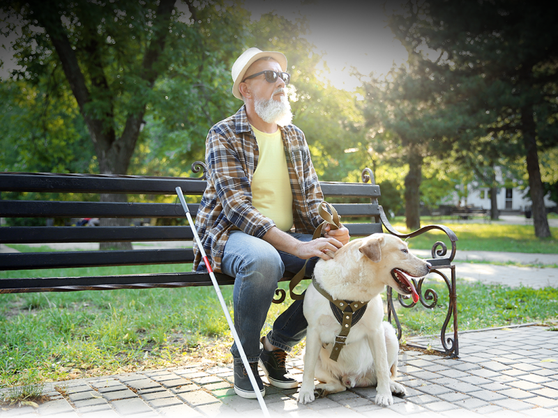 ¿QUÉ SERÍA UNA SOCIEDAD INCLUSIVA?