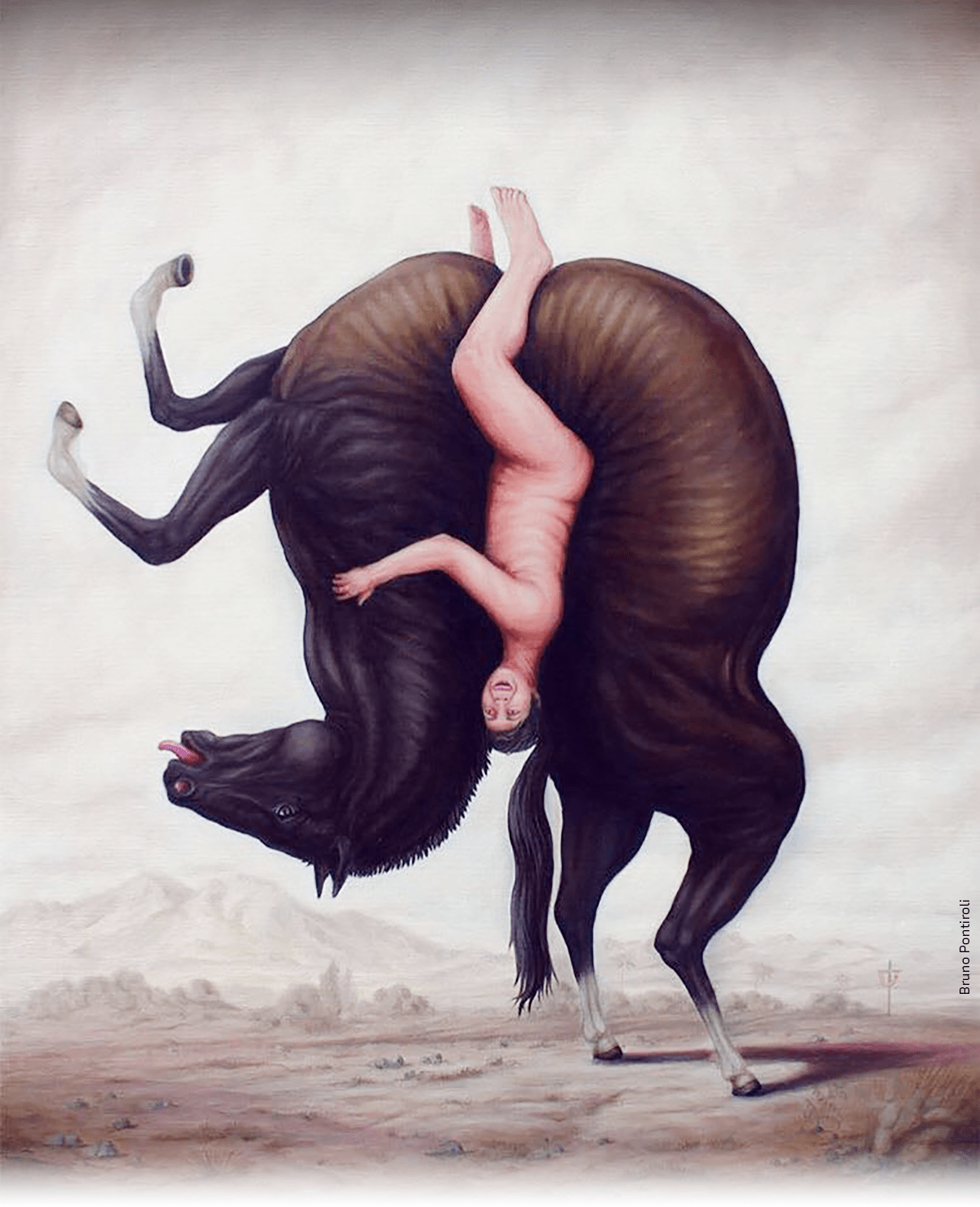 LECTURAS DE A CABALLO, ENCUENTROS