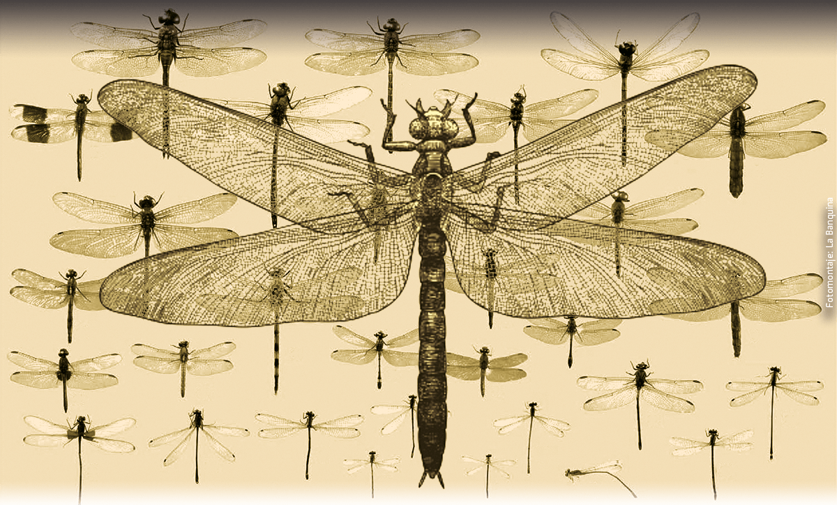 ALEJANDRO GÓMEZ MONZÓN | POEMAS