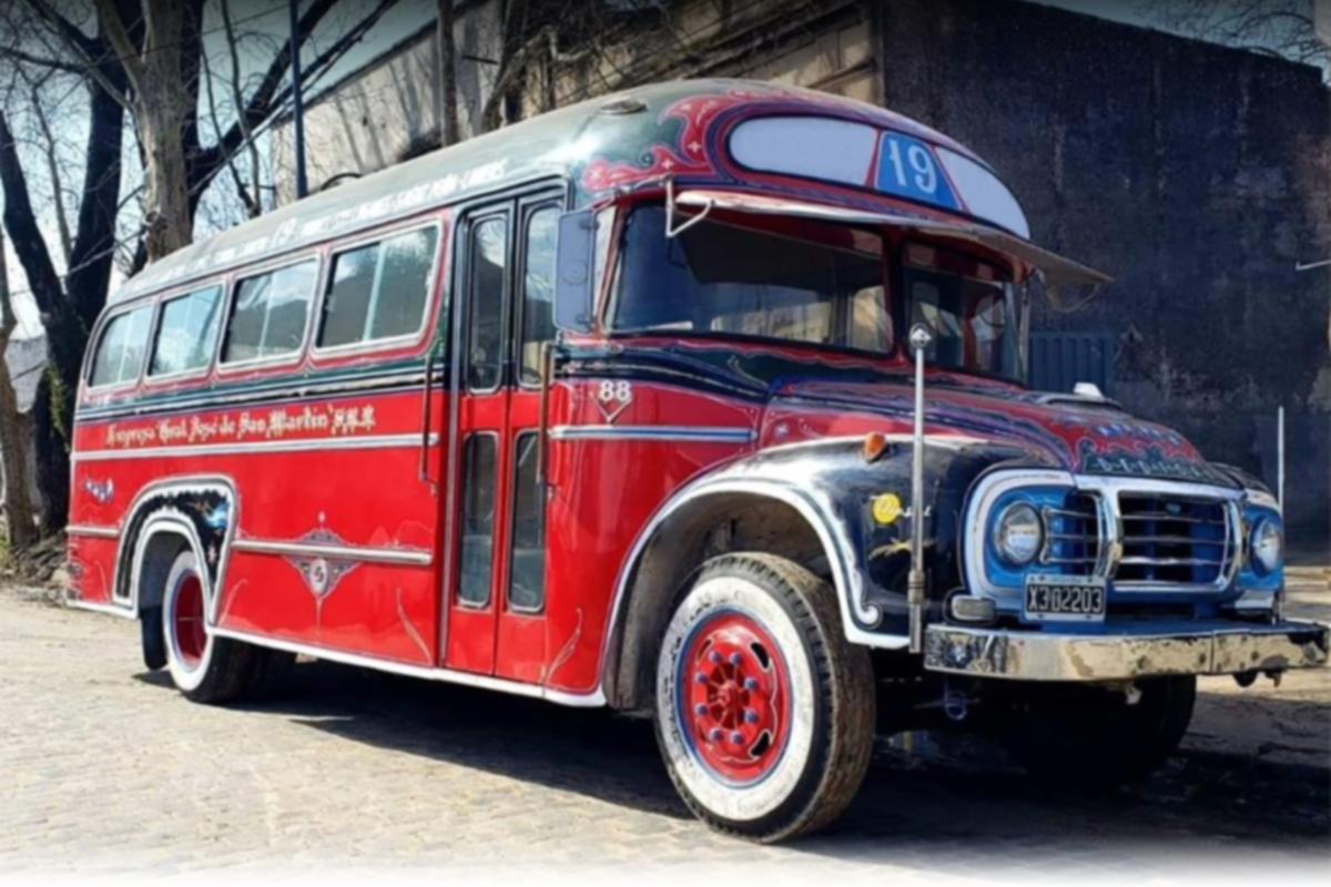 EL COLECTIVO SOCIAL… Y LA ISLITA DE LOS NIÑOS…