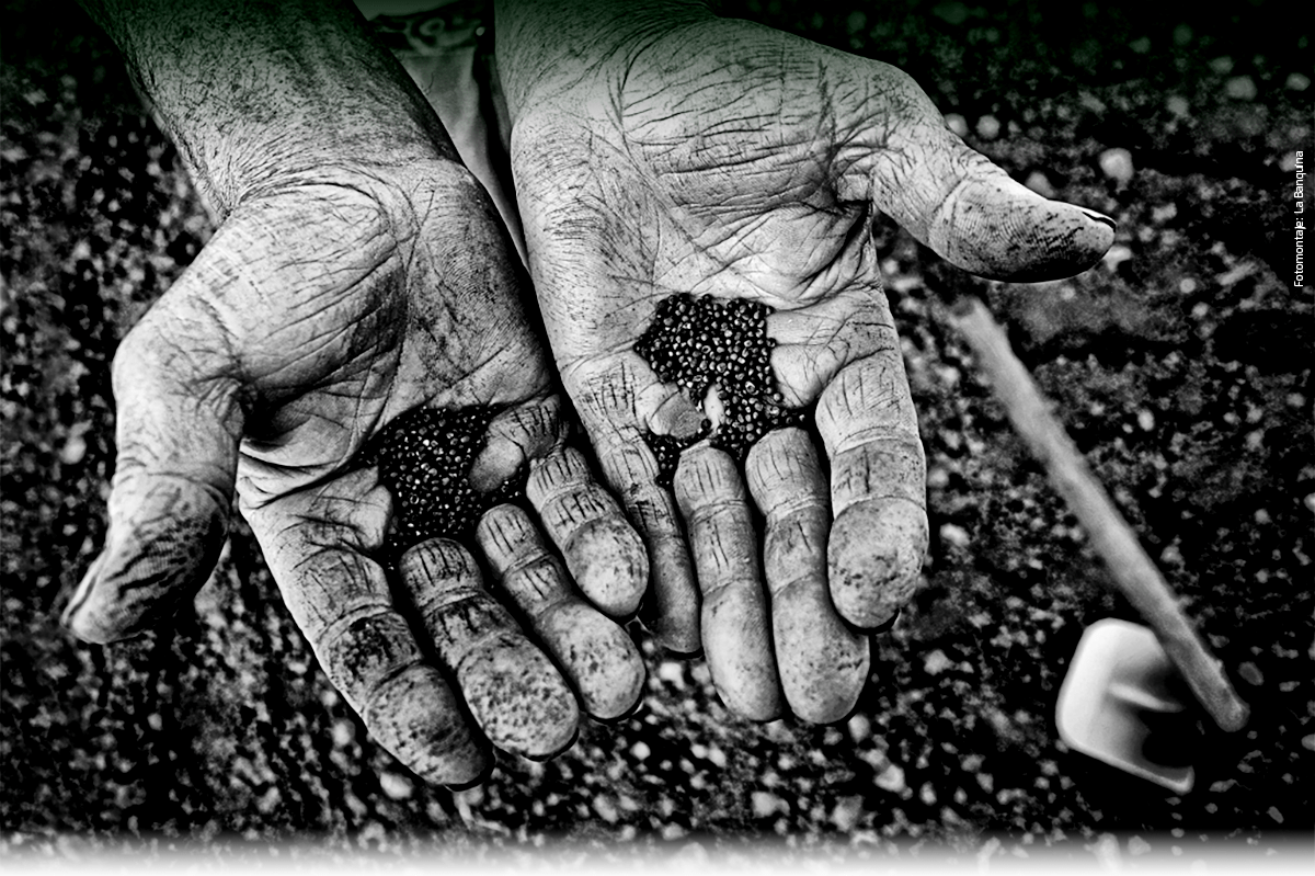 TIERRA FERAZ (CULTIVOS Y VIAJES)