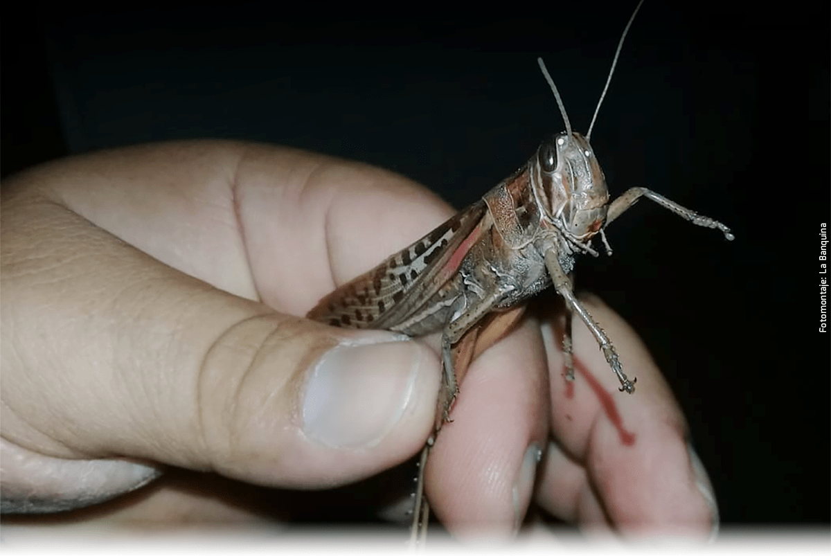 ESCENAS DE VERANEO | IV