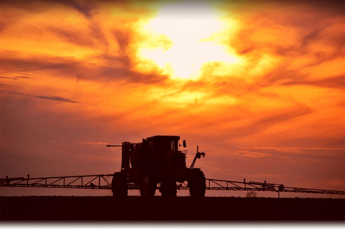 EL JUEGO DEL AVESTRUZ Y LA AGROECOLOGÍA