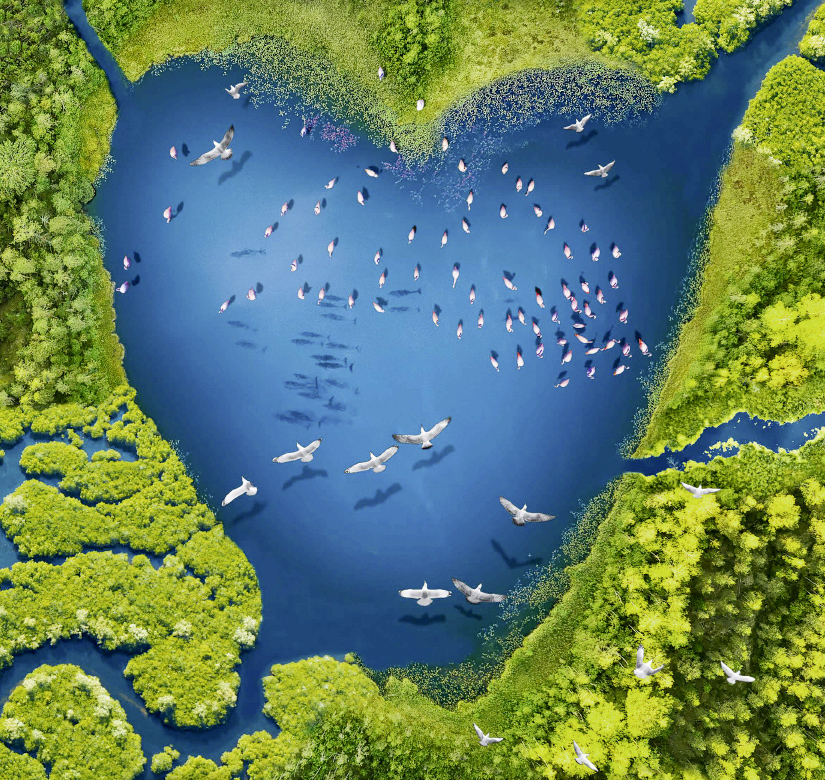 LUCHAS AMBIENTALES. EJEMPLAR LUCHA ARGENTINA PARA PROTEGER LOS HUMEDALES